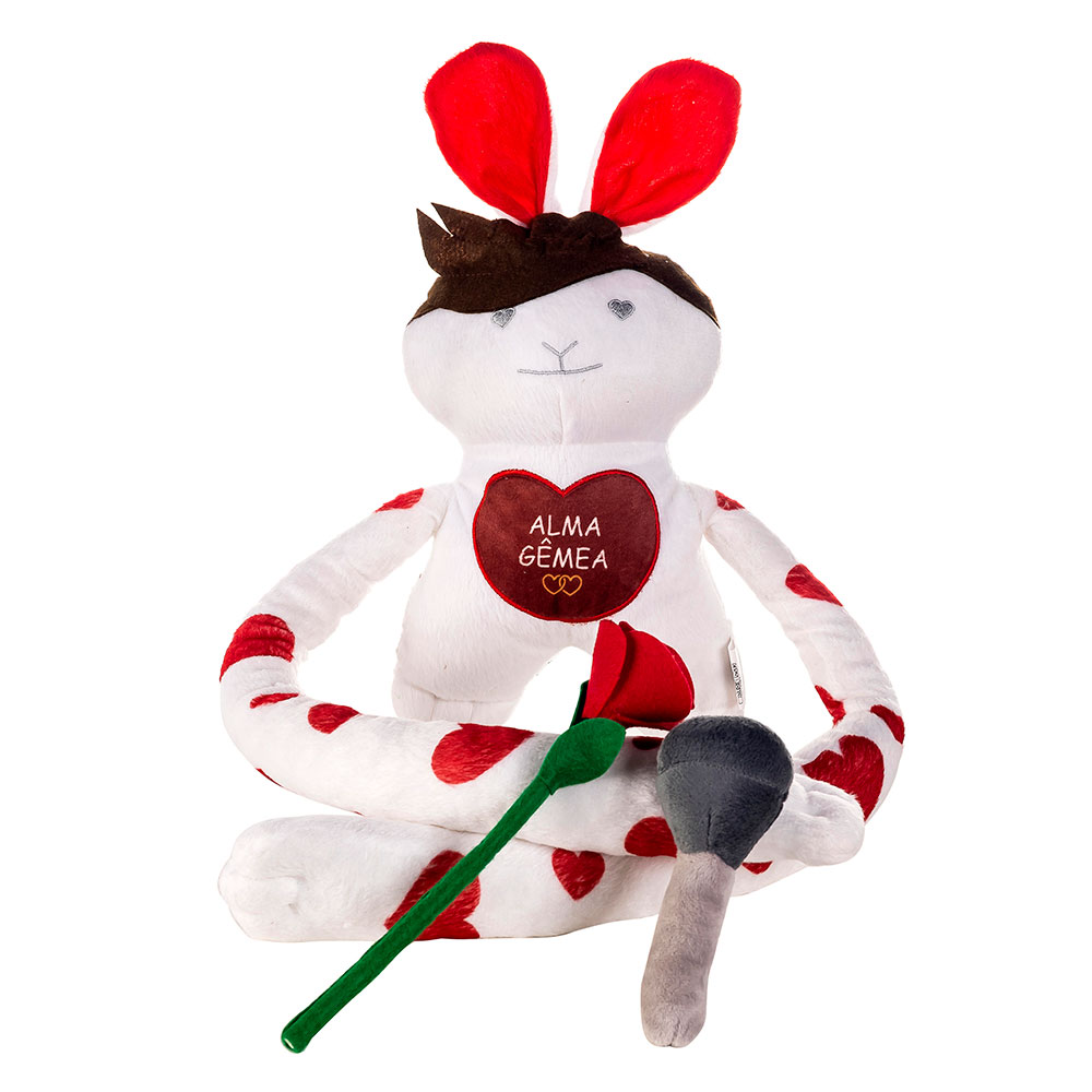 Fabinho JR - nasceu para espalhar carinho, afeto e sorrisos.